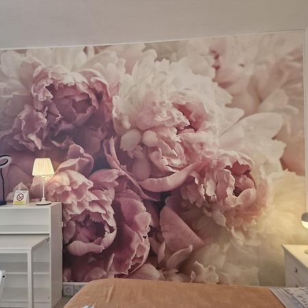 Casa Le Coccole Daire Livorno Dış mekan fotoğraf