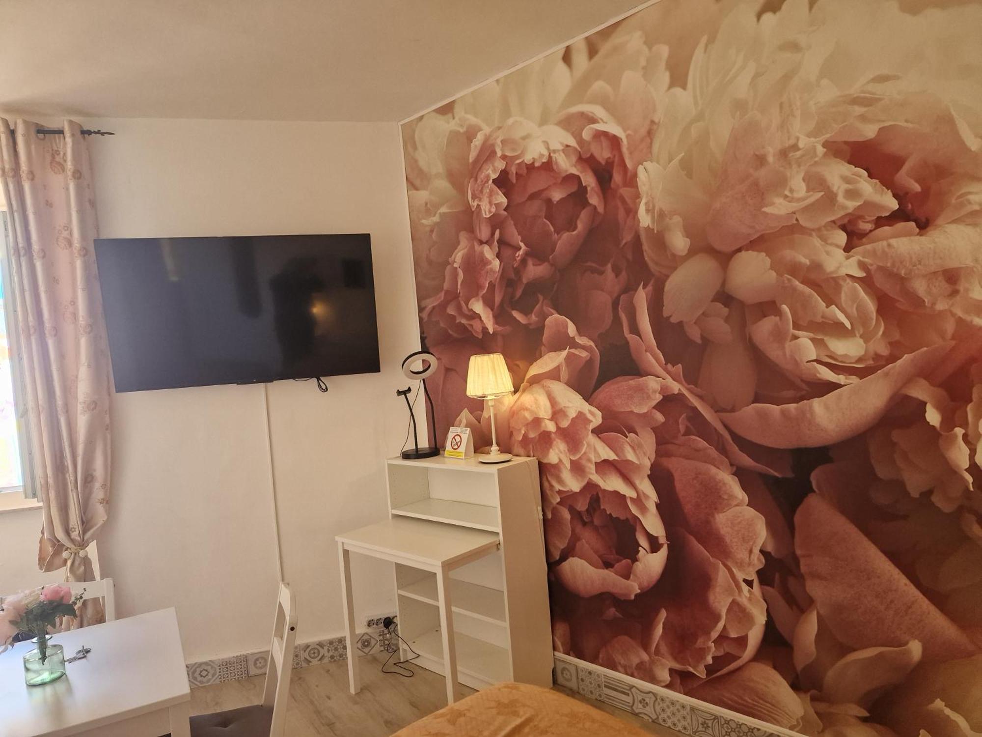 Casa Le Coccole Daire Livorno Dış mekan fotoğraf